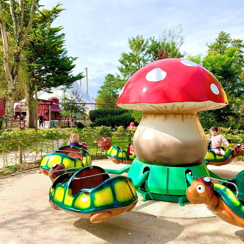 LA RONDE DES TORTUE 